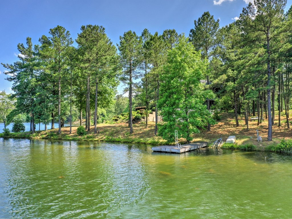 80 Lake Seivern Road Batesburg, SC 29006 - Photo 53 of 66 Boat Dock
