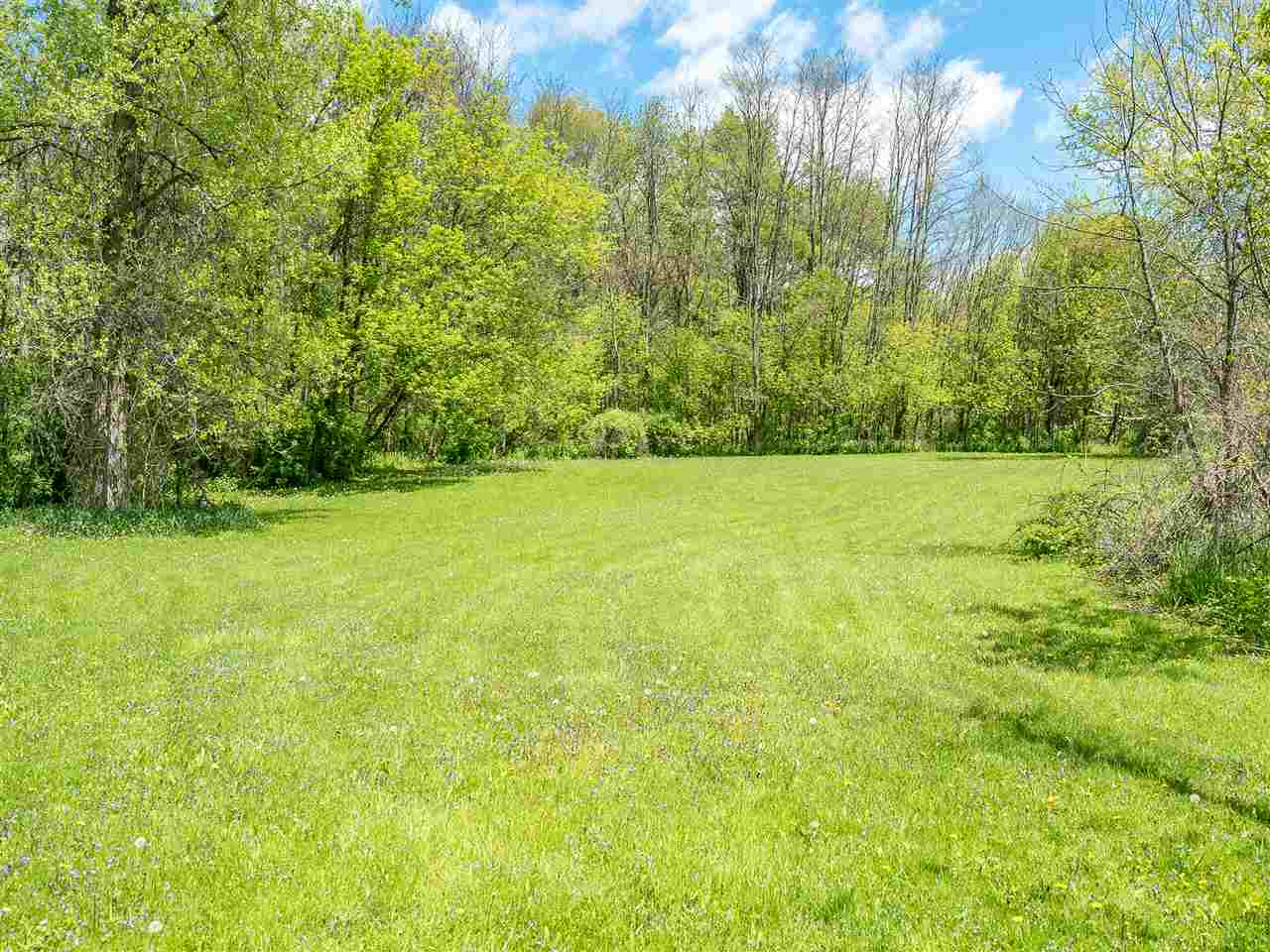 10201 North Campbell Road Durand, IL 61024 - Photo 8 of 20 a view of yard with green space and trees all around