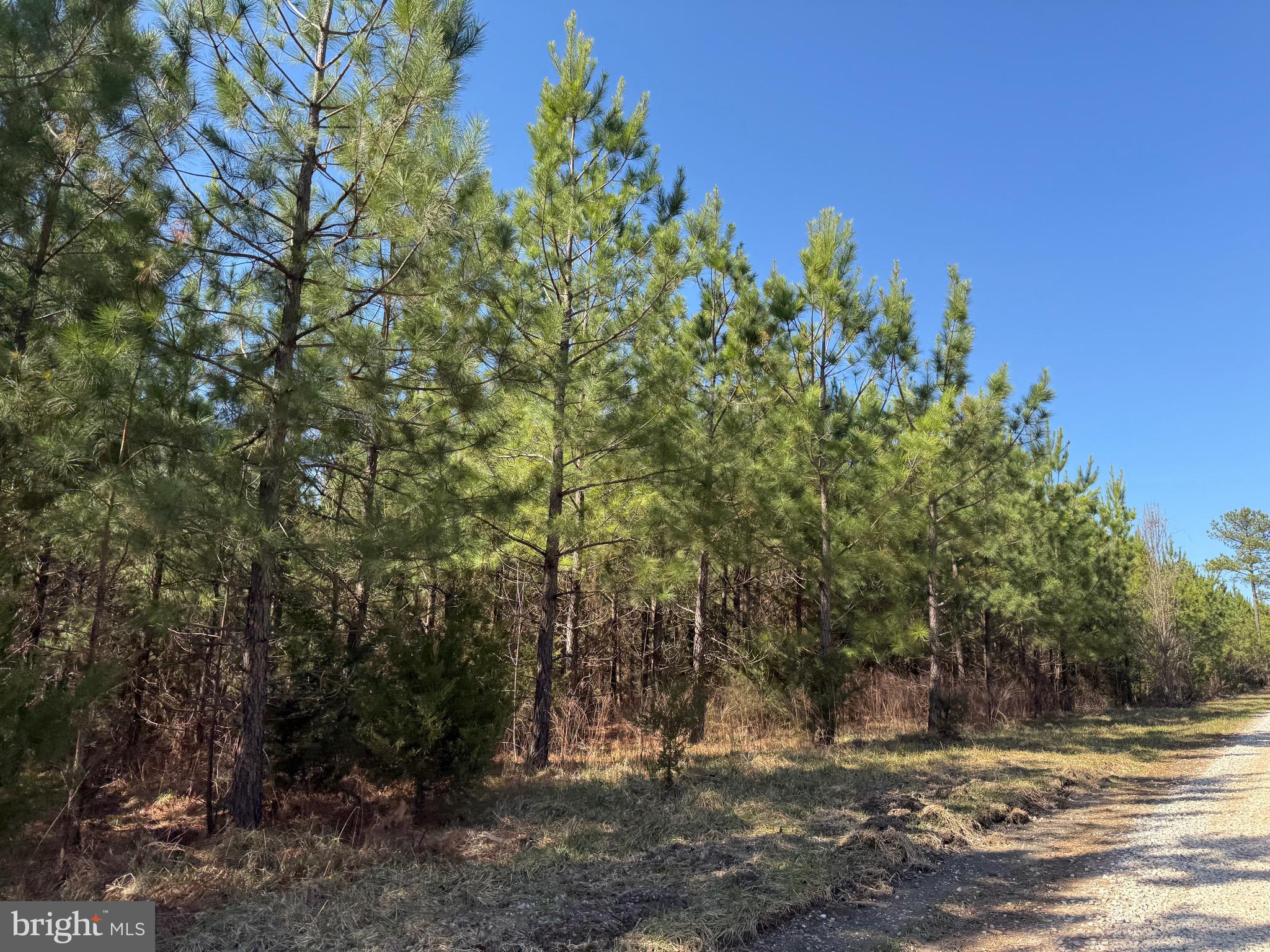 3 B Maple Bridge Road Dillwyn, VA 23936 - Photo 12 of 13