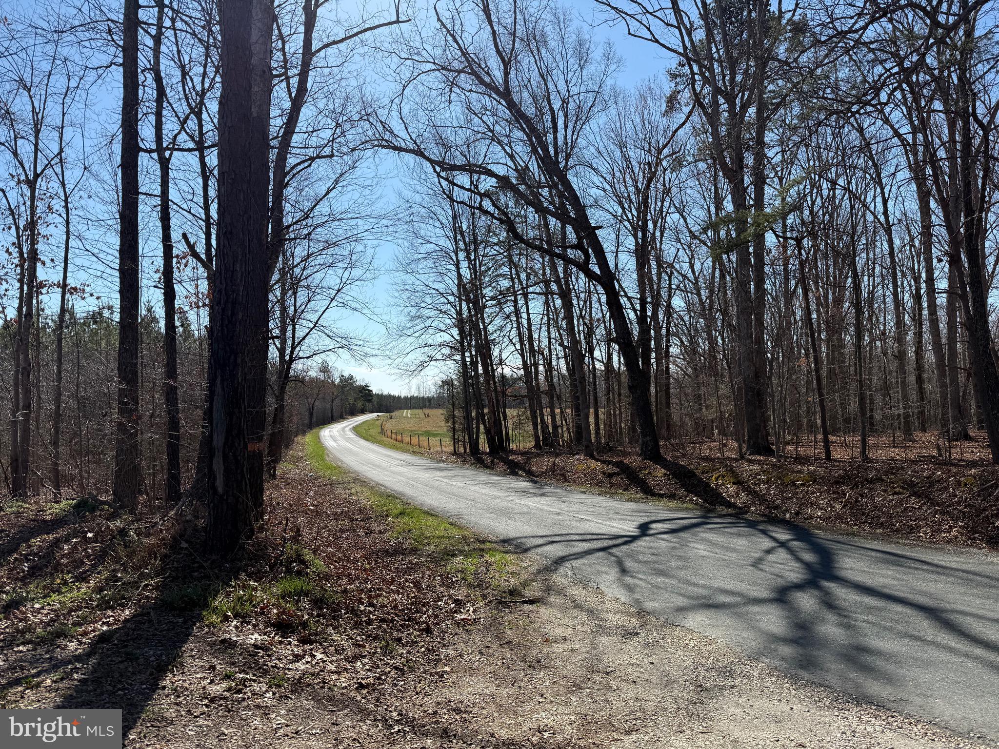 3 B Maple Bridge Road Dillwyn, VA 23936 - Photo 2 of 13