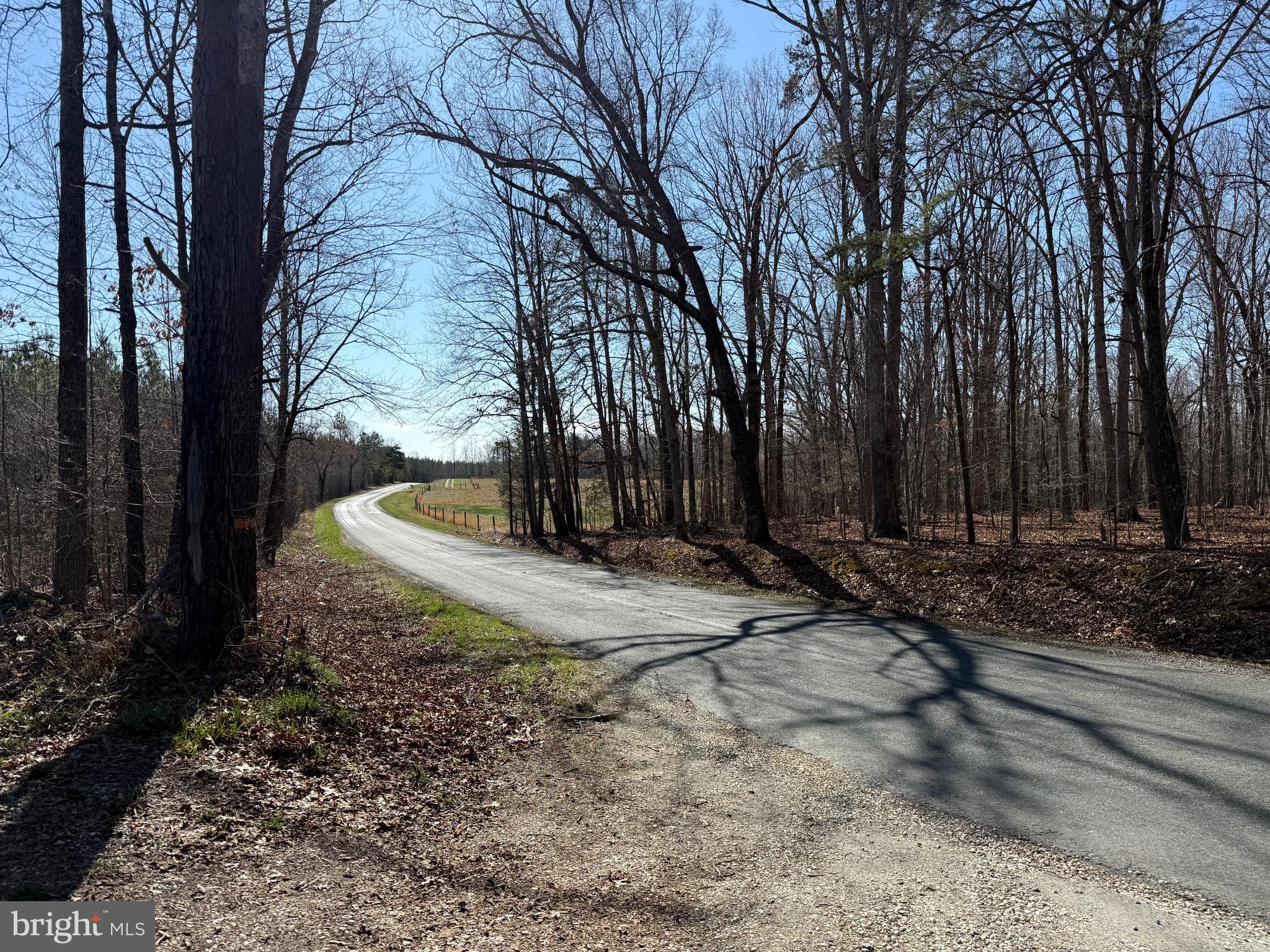 3 B Maple Bridge Road Dillwyn, VA 23936 - Photo 3 of 13