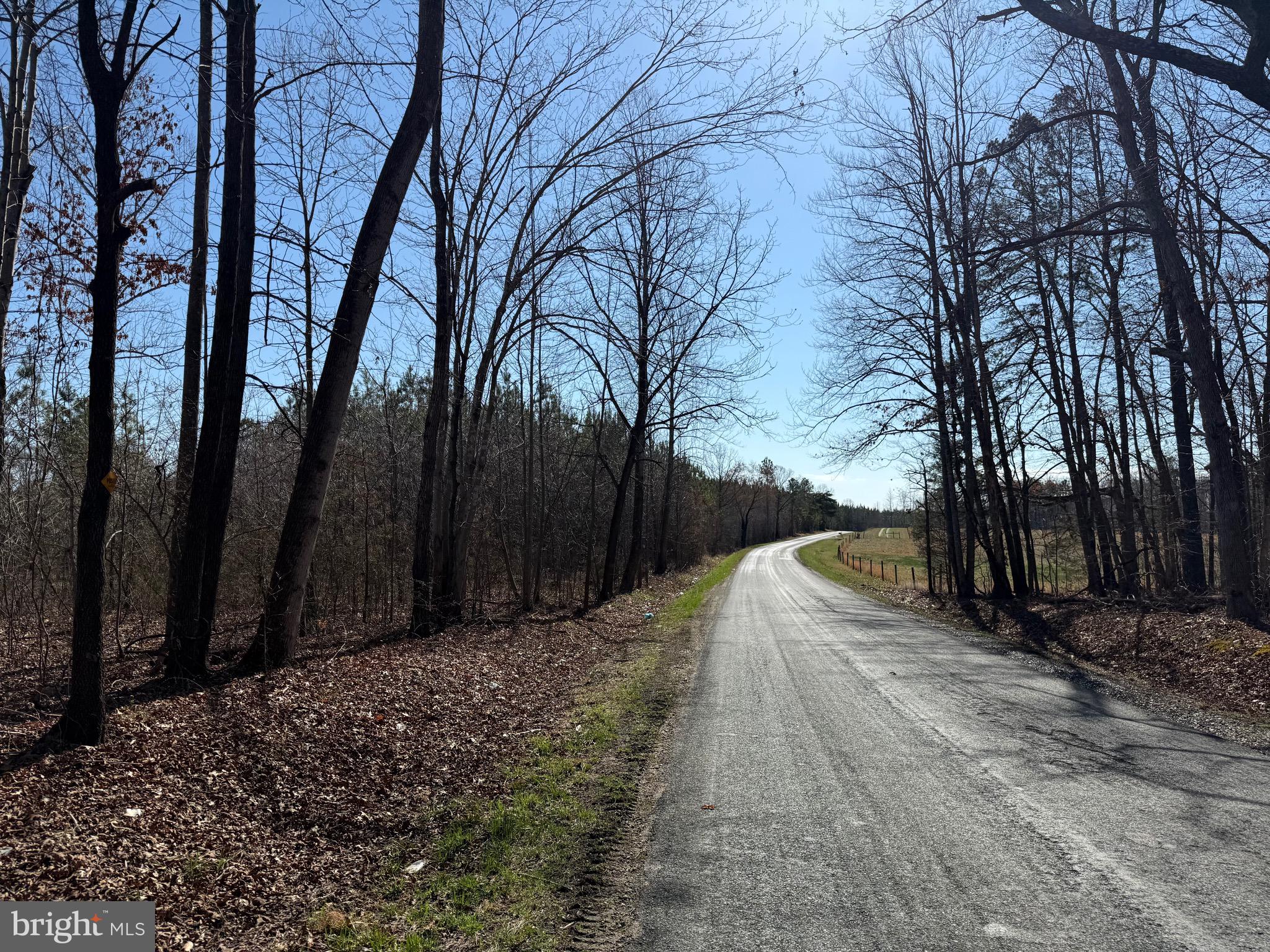 3 B Maple Bridge Road Dillwyn, VA 23936 - Photo 5 of 13