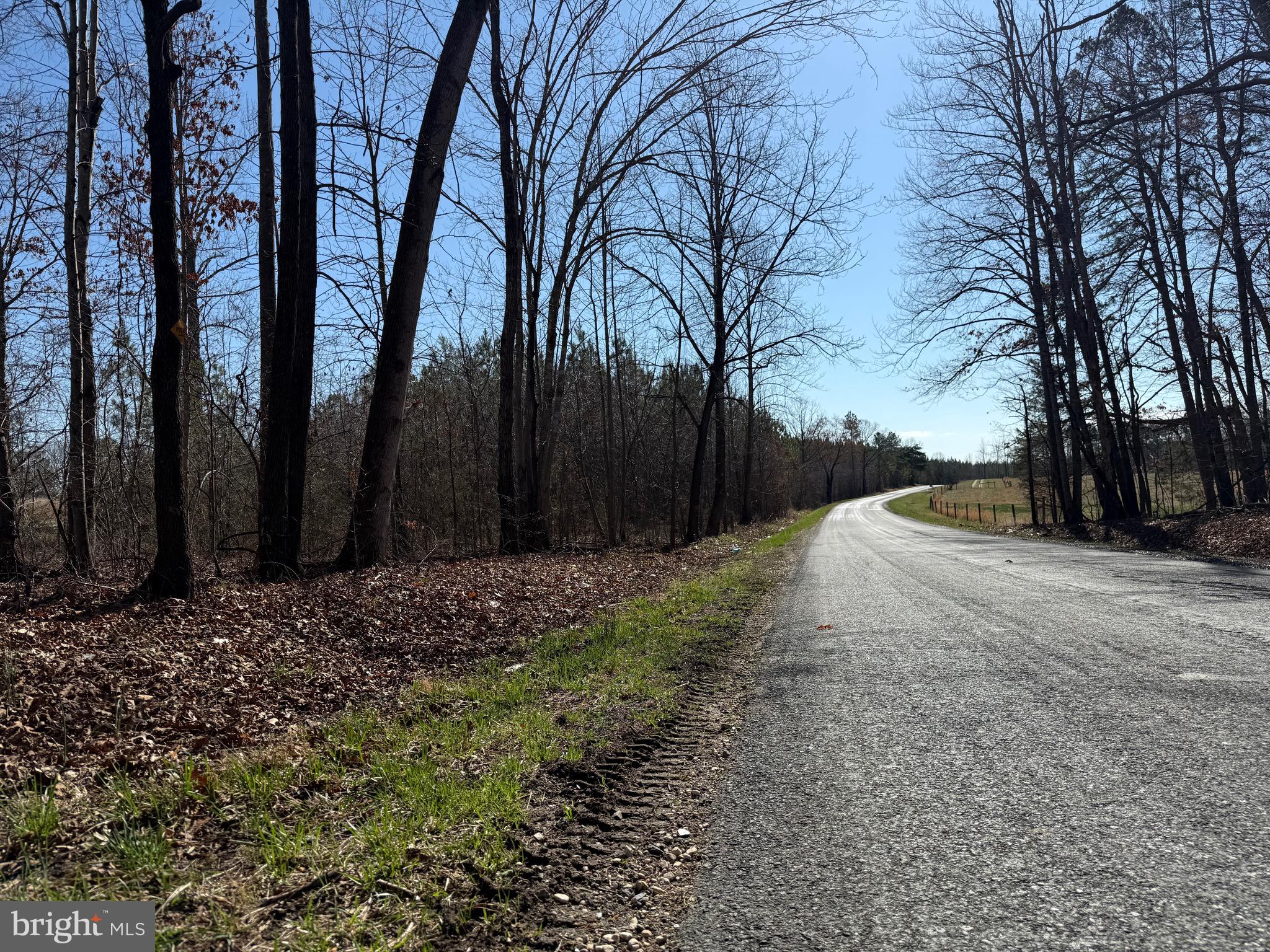 3 B Maple Bridge Road Dillwyn, VA 23936 - Photo 6 of 13