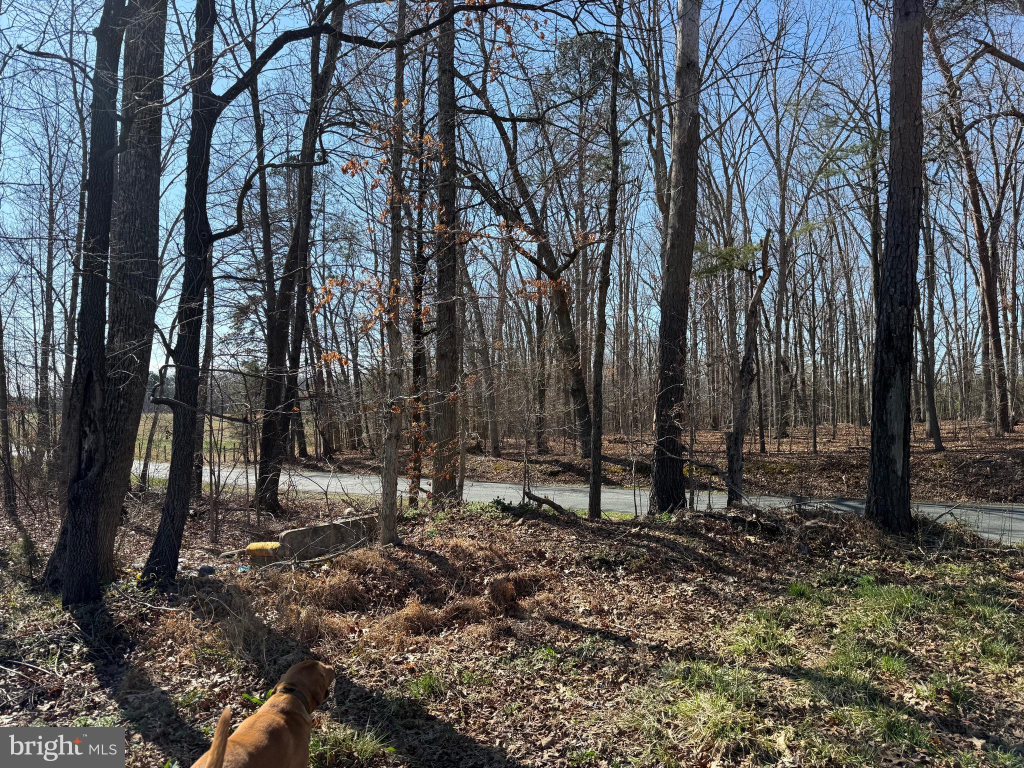 3 B Maple Bridge Road Dillwyn, VA 23936 - Photo 7 of 13