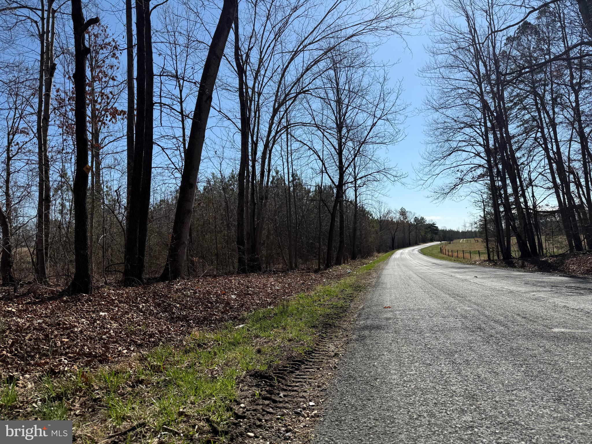 3 B Maple Bridge Road Dillwyn, VA 23936 - Photo 8 of 13