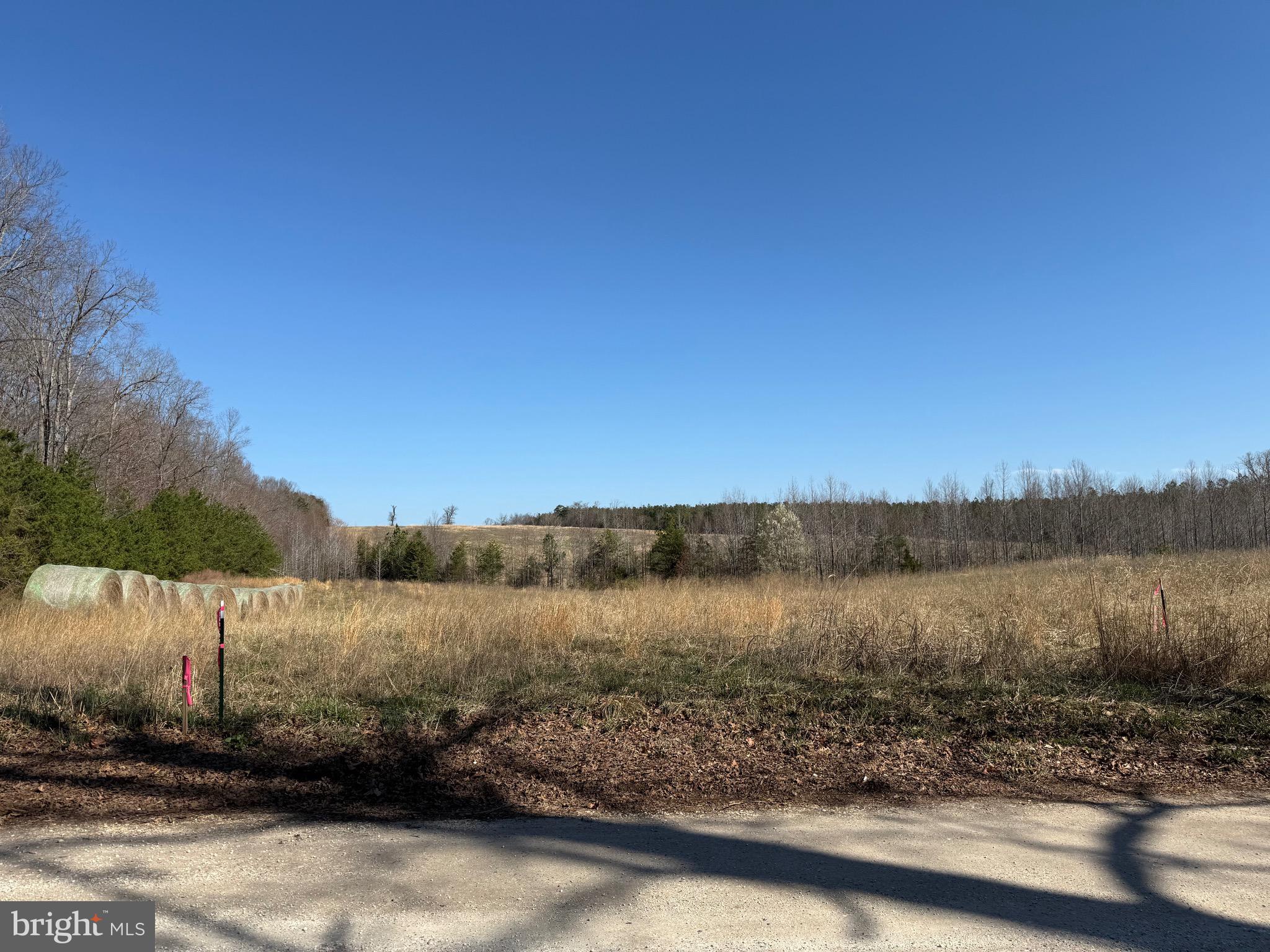 3 B Maple Bridge Road Dillwyn, VA 23936 - Photo 9 of 13