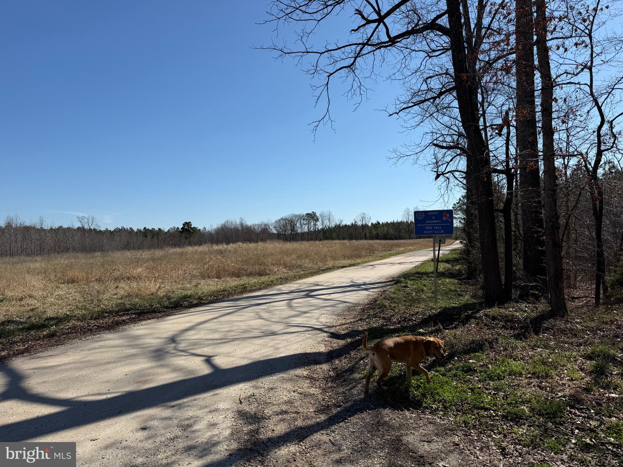 3 B Maple Bridge Road Dillwyn, VA 23936 - Photo 10 of 13