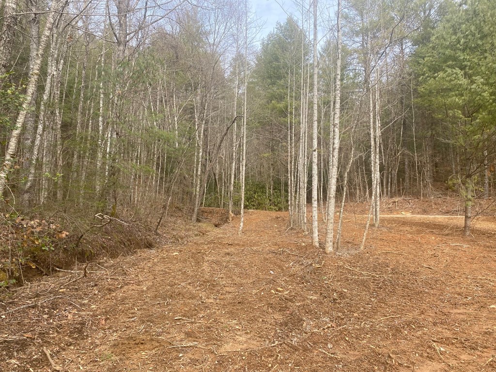0 Flea Mountain Road Murphy, NC 28906 - Photo 5 of 54