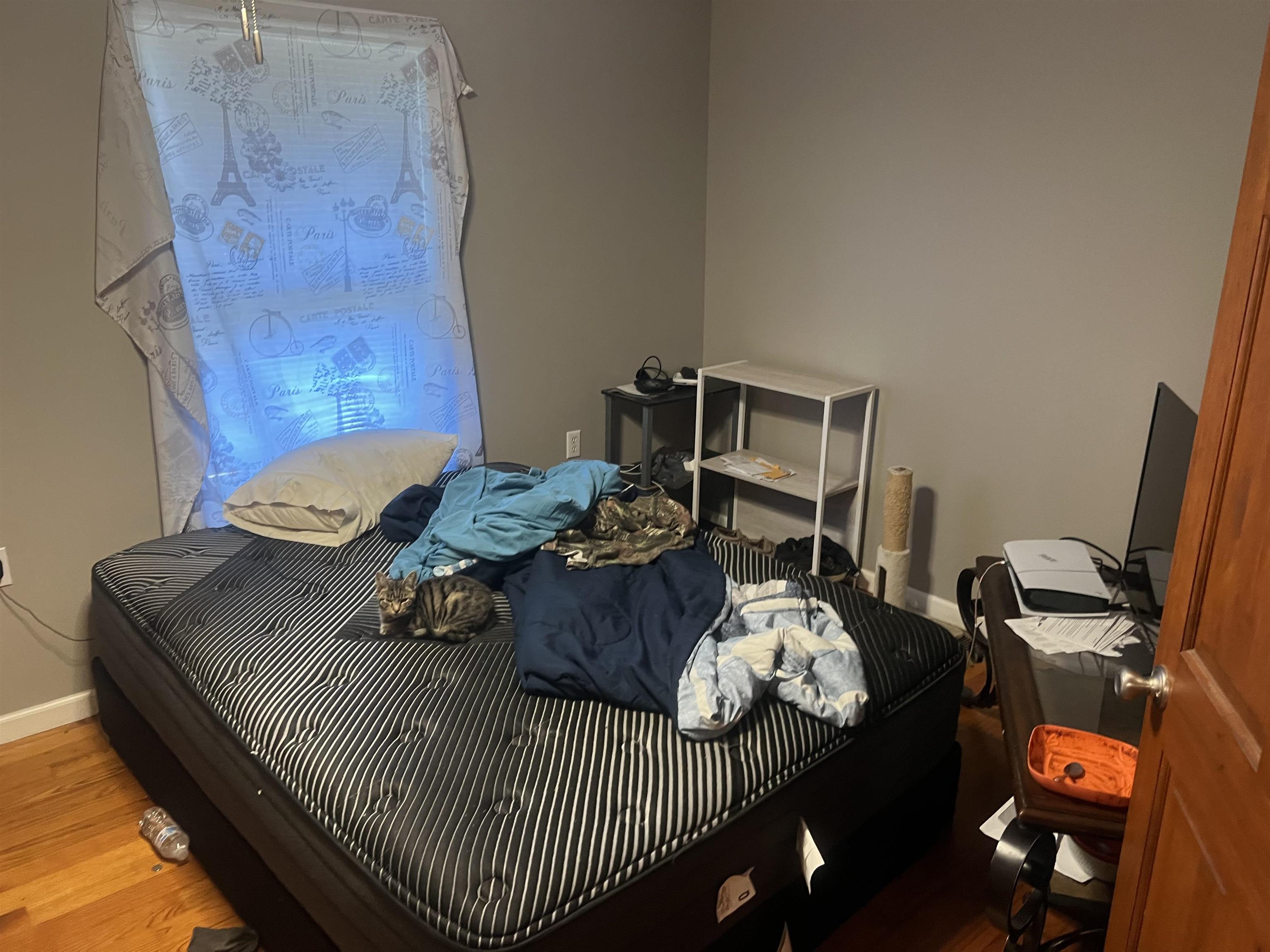 245 Drake Loop Savannah, TN 38372 - Photo 7 of 17 a bed sitting in a bedroom next to a window