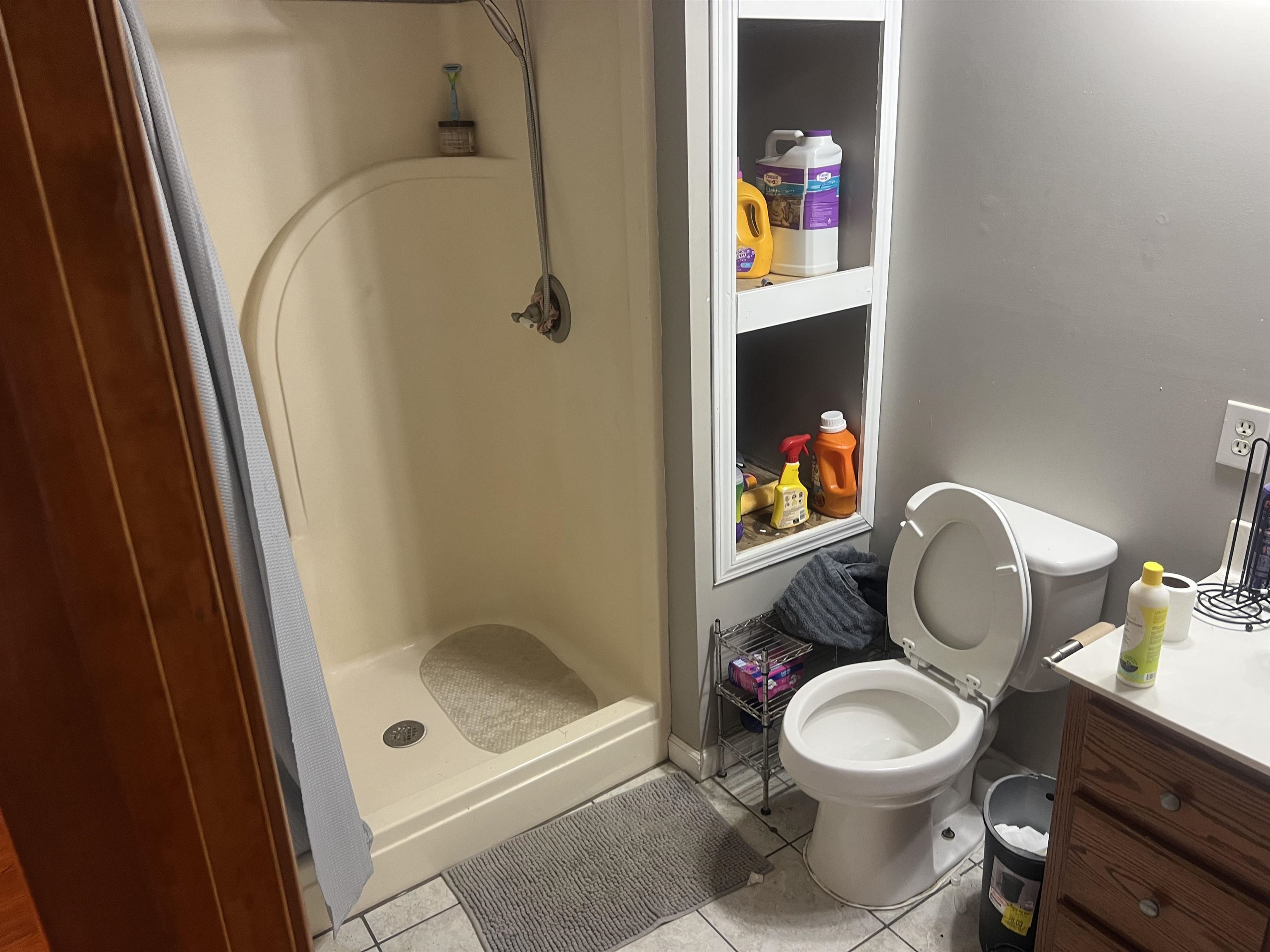 245 Drake Loop Savannah, TN 38372 - Photo 10 of 17 a bathroom with a toilet and a shower