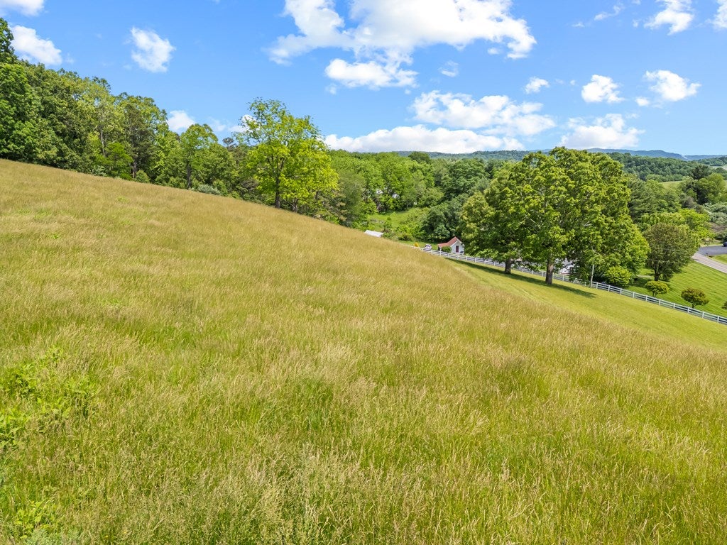 1714 Fort Chiswell Road Max Meadows, VA 24360 - Photo 67 of 100 Gallery Image 67