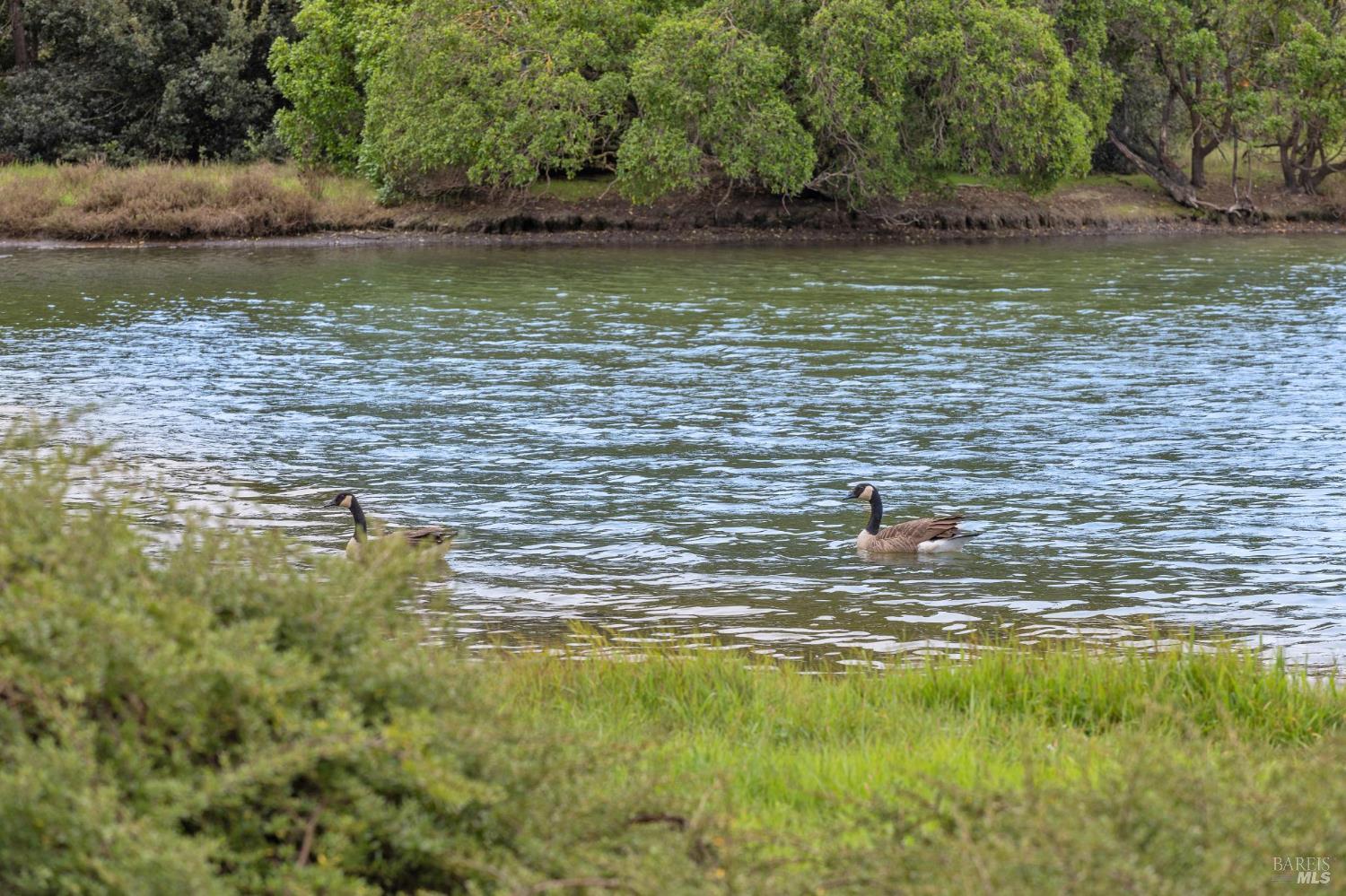 111 Nantucket Cove San Rafael, CA 94901 - Photo 35 of 36