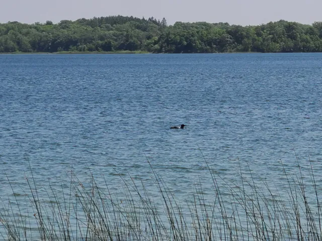 $555,000 | 26373 Anna Lake Road, Underwood, MN 56586