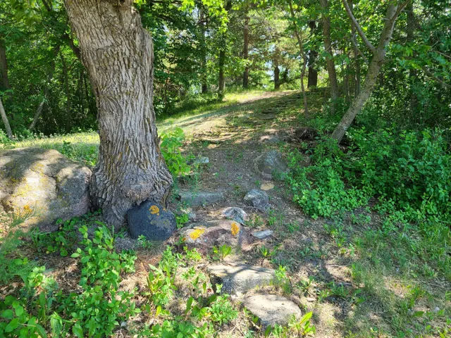 $555,000 | 26373 Anna Lake Road, Underwood, MN 56586