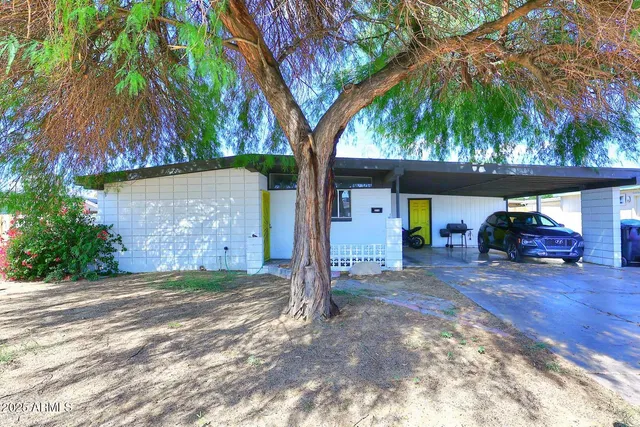 a view of a car park in front of a house with large tree
