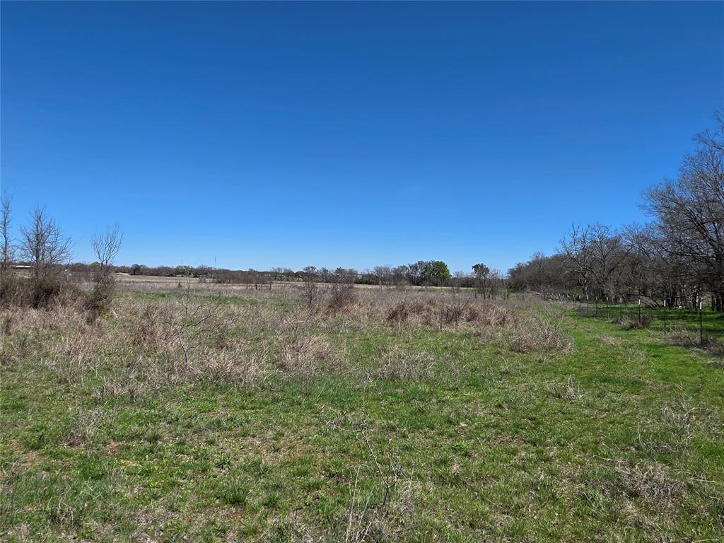 309 Highway 36 Gustine, TX 76455 - Photo 21 of 36 a view of a large yard with lots of trees