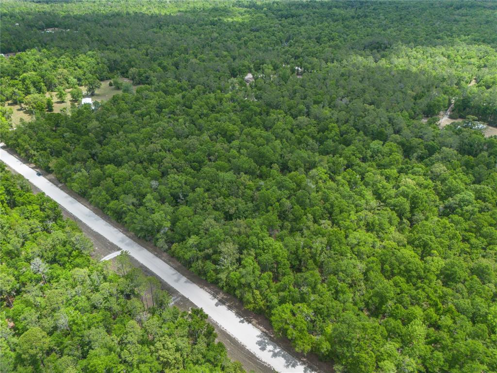 Southwest Loncala Loop Fort White, FL 32038 - Photo 12 of 19