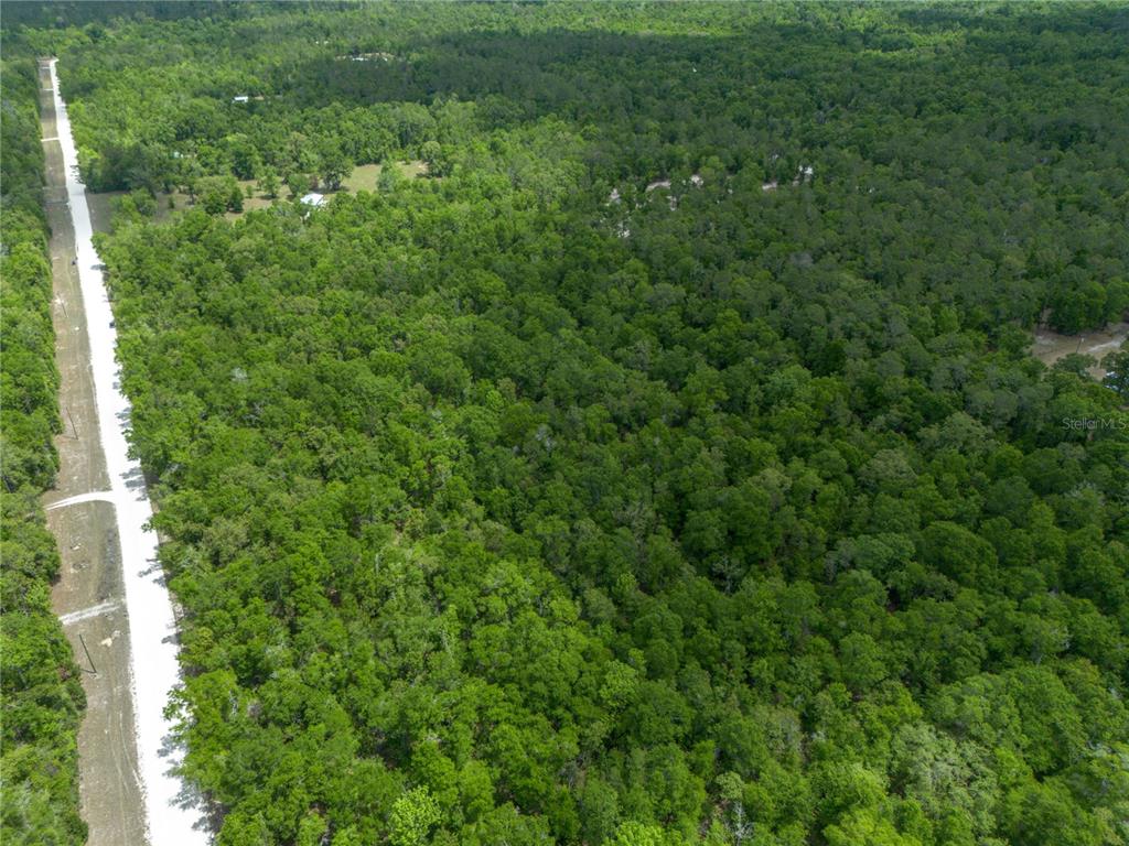 Southwest Loncala Loop Fort White, FL 32038 - Photo 14 of 19