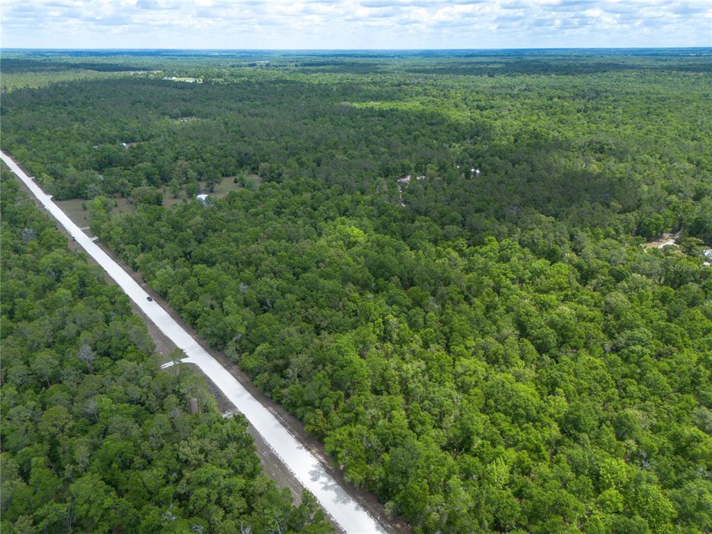 Southwest Loncala Loop Fort White, FL 32038 - Photo 15 of 19