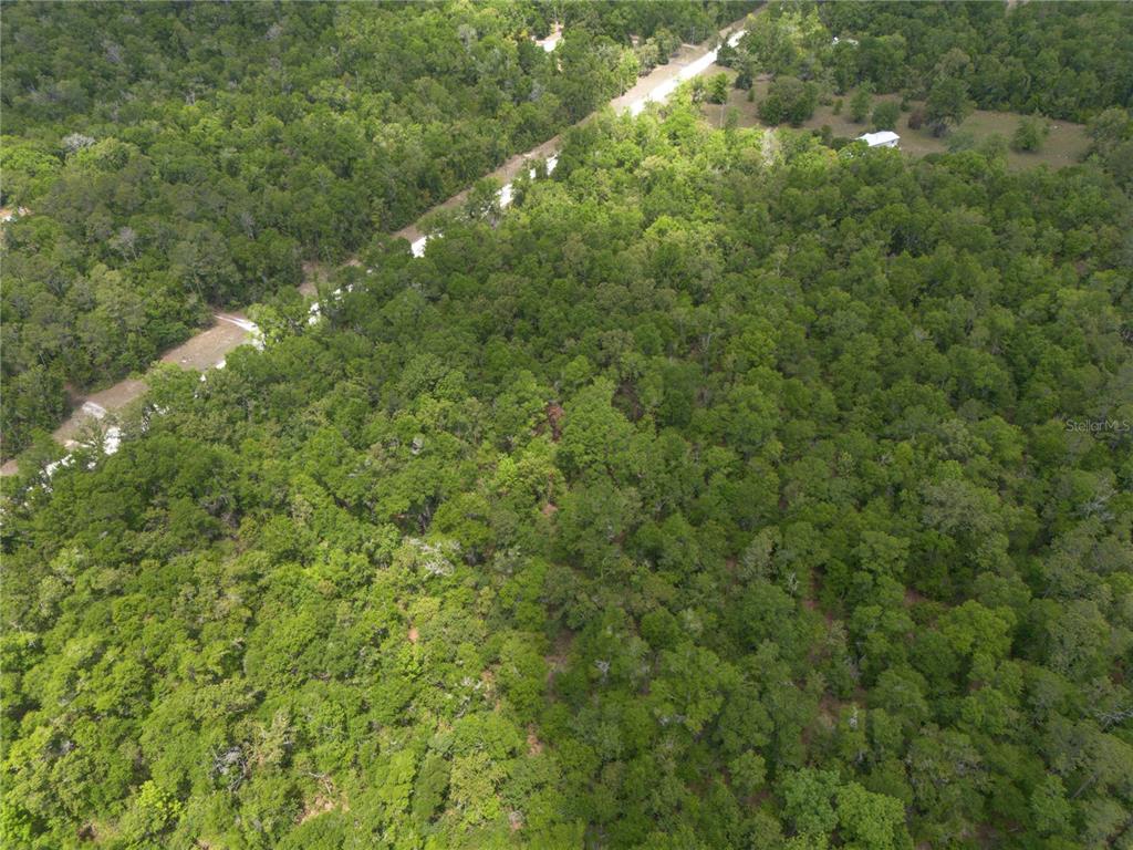 Southwest Loncala Loop Fort White, FL 32038 - Photo 16 of 19