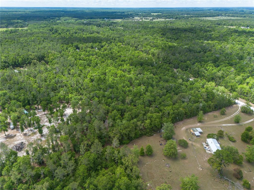 Southwest Loncala Loop Fort White, FL 32038 - Photo 19 of 19