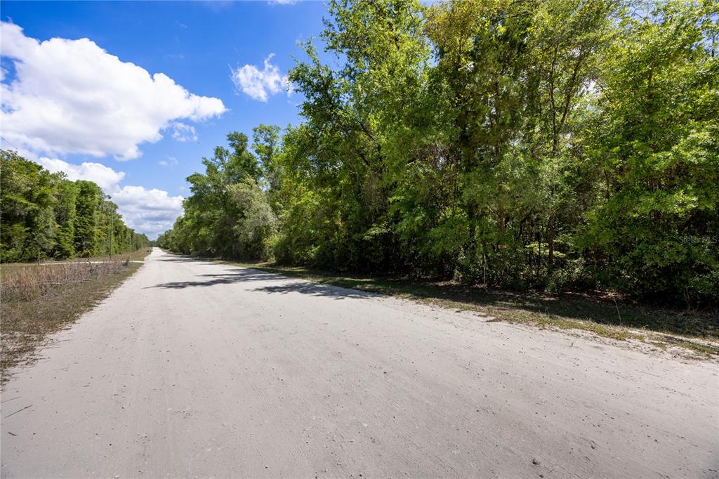 Southwest Loncala Loop Fort White, FL 32038 - Photo 4 of 19