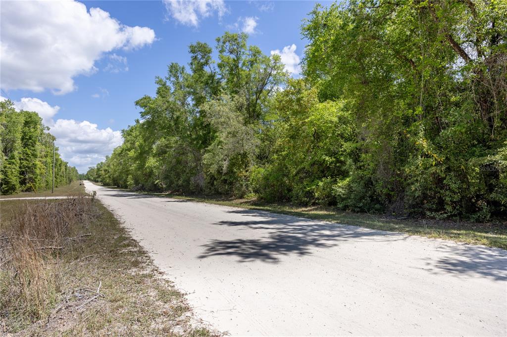 Southwest Loncala Loop Fort White, FL 32038 - Photo 5 of 19