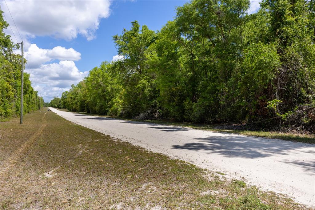 Southwest Loncala Loop Fort White, FL 32038 - Photo 6 of 19