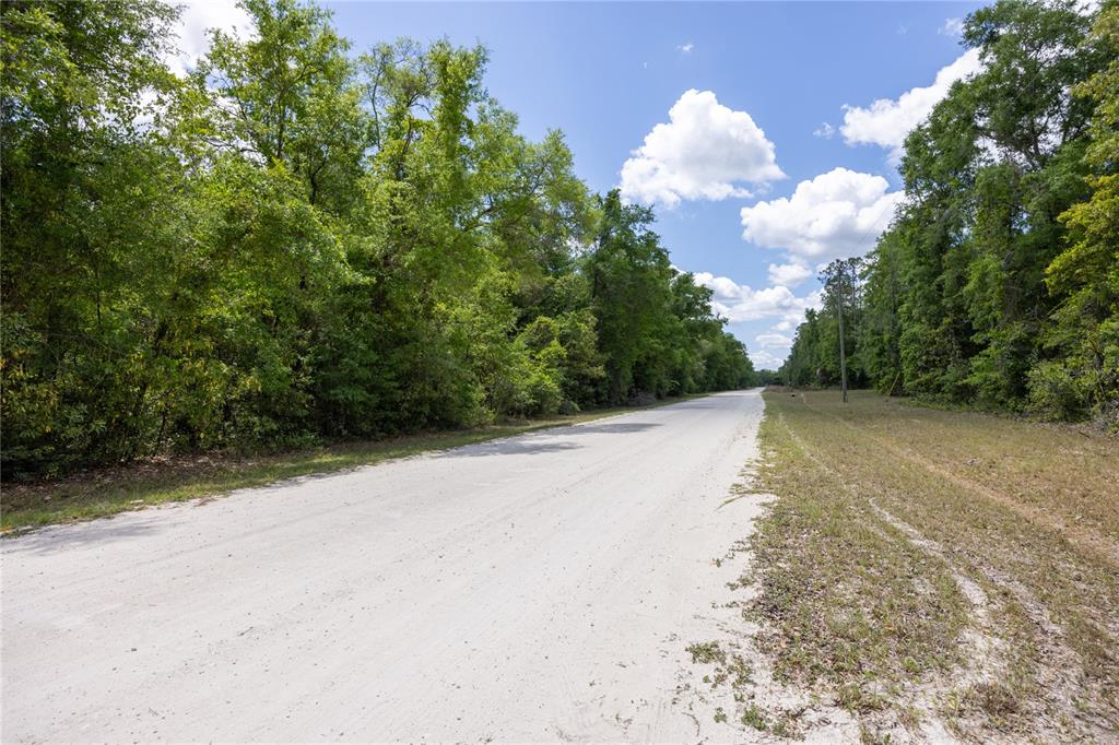 Southwest Loncala Loop Fort White, FL 32038 - Photo 8 of 19