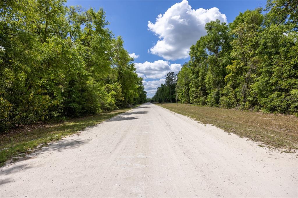 Southwest Loncala Loop Fort White, FL 32038 - Photo 9 of 19