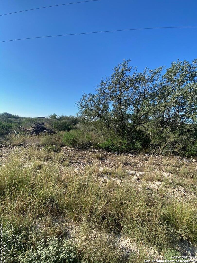 89 Rocky Hills Uvalde, TX 78801 - Photo 1 of 6 a view of a yard with a tree