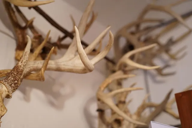 $656,500 | 25065 Rock Springs Hollow Road, Thebes, IL 62990