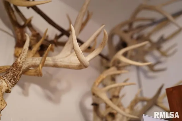 $656,500 | 25065 Rock Springs Hollow Road, Thebes, IL 62990