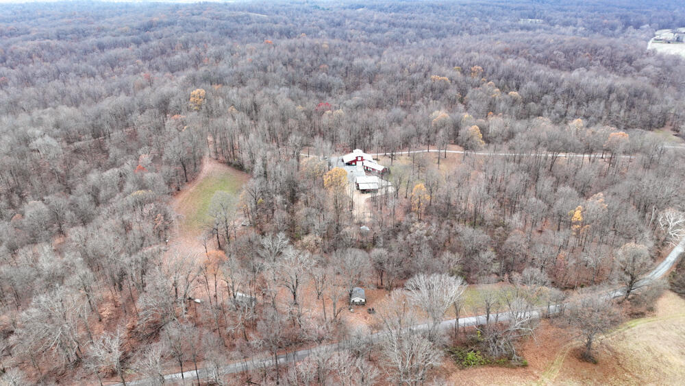 25065 Rock Springs Hollow Road Thebes, IL 62990 - Photo 40 of 50 a view of a dry yard