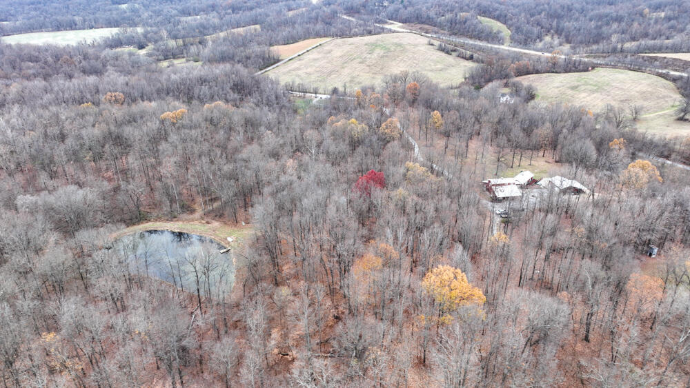 25065 Rock Springs Hollow Road Thebes, IL 62990 - Photo 44 of 50 a view of a dry yard
