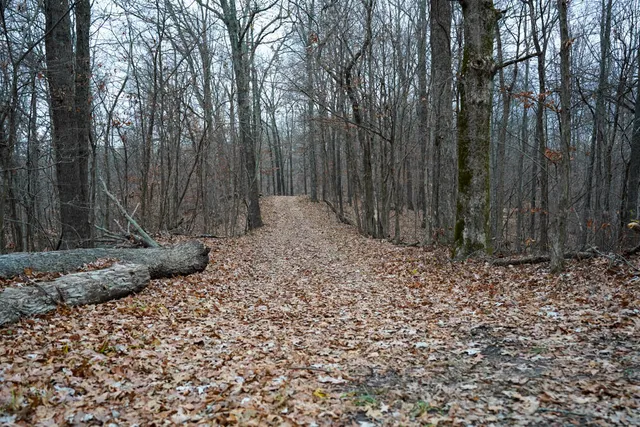 $656,500 | 25065 Rock Springs Hollow Road, Thebes, IL 62990