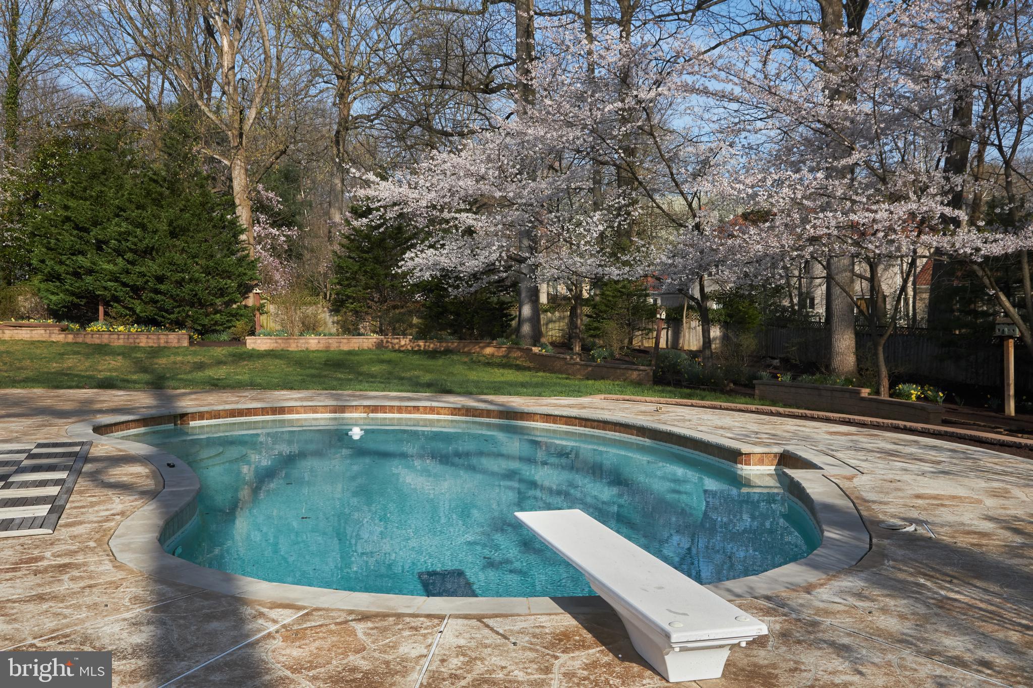 10304 Iron Gate Road Potomac, MD 20854 - Photo 30 of 39 Private rear yard with in-ground pool