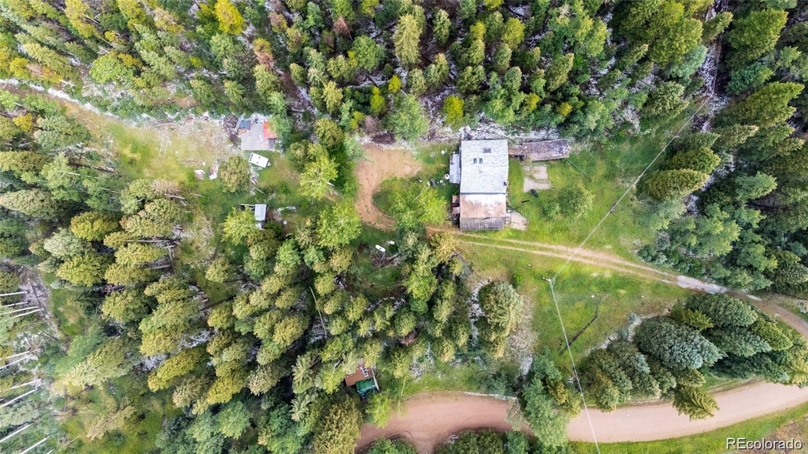 11173 Barney Gulch Road Conifer, CO 80433 - Photo 8 of 16