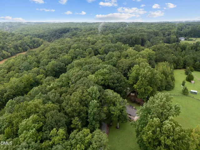 a view of a forest with a street