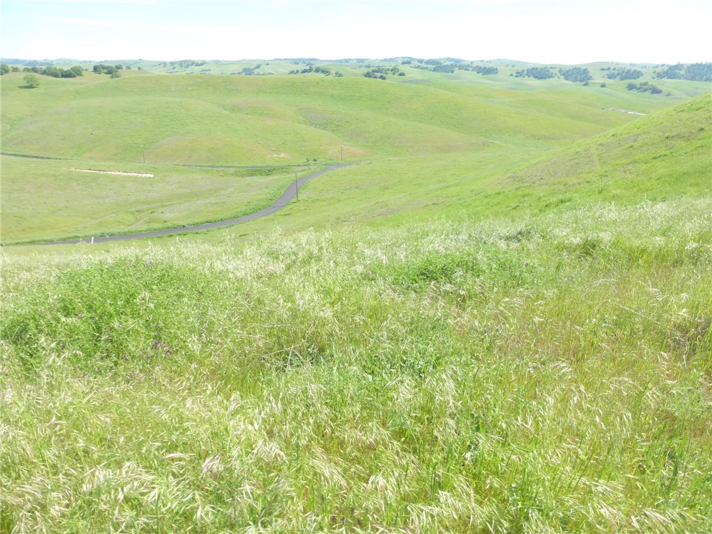 0 Douglas Road San Miguel, CA 93451 - Photo 25 of 51