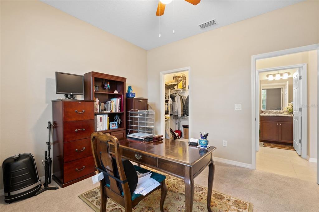 31046 Parrot Reef Court Wesley Chapel, FL 33545 - Photo 11 of 99