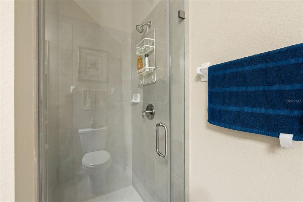 31046 Parrot Reef Court Wesley Chapel, FL 33545 - Photo 14 of 99