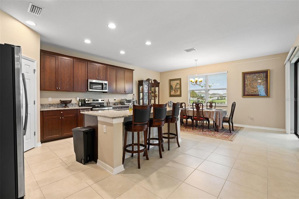 31046 Parrot Reef Court Wesley Chapel, FL 33545 - Photo 15 of 99