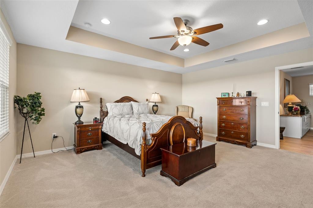 31046 Parrot Reef Court Wesley Chapel, FL 33545 - Photo 35 of 99