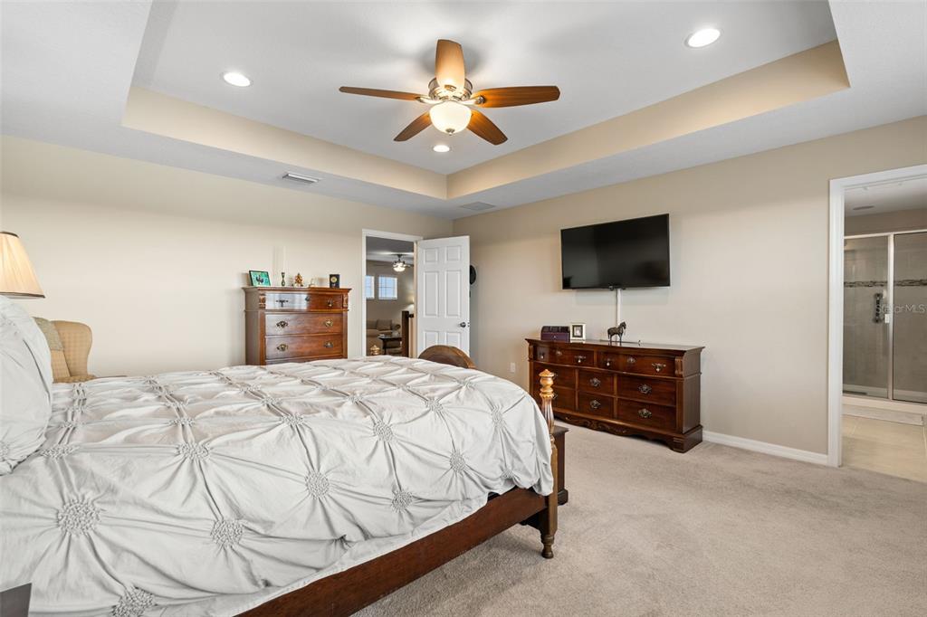 31046 Parrot Reef Court Wesley Chapel, FL 33545 - Photo 36 of 99 a bedroom with a bed and a flat screen tv