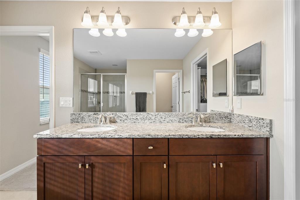 31046 Parrot Reef Court Wesley Chapel, FL 33545 - Photo 38 of 99 a bathroom with a sink vanity and a mirror