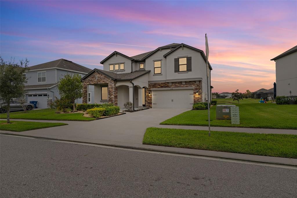 31046 Parrot Reef Court Wesley Chapel, FL 33545 - Photo 4 of 99 a front view of a house with a yard