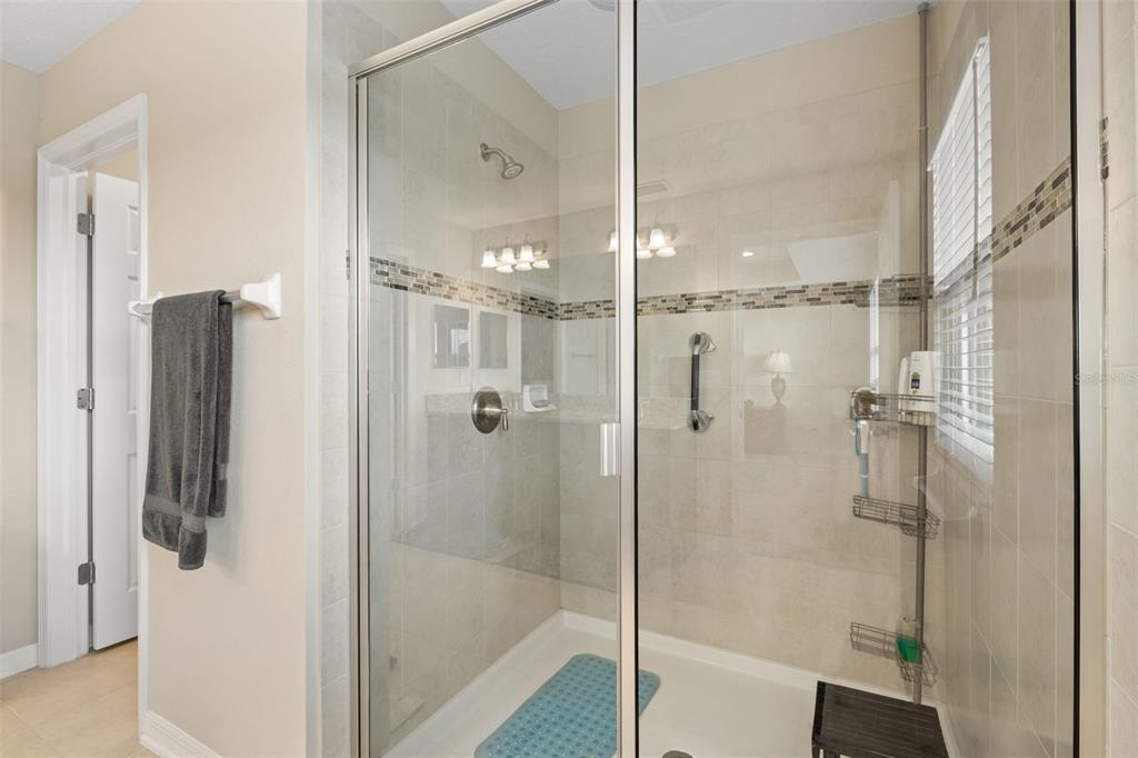 31046 Parrot Reef Court Wesley Chapel, FL 33545 - Photo 41 of 99