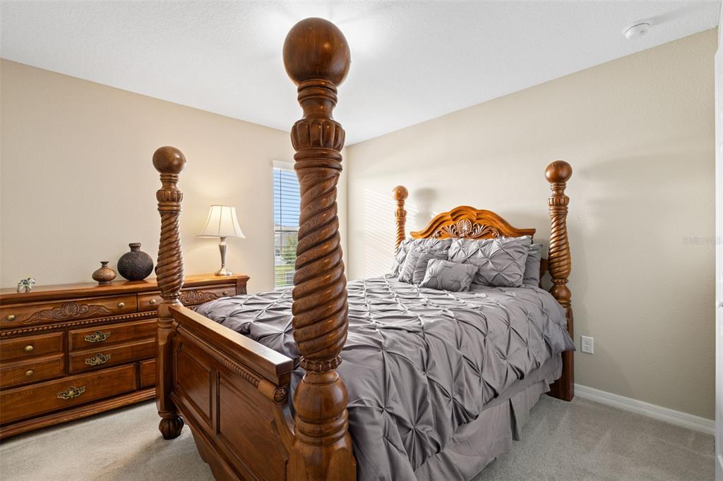 31046 Parrot Reef Court Wesley Chapel, FL 33545 - Photo 44 of 99