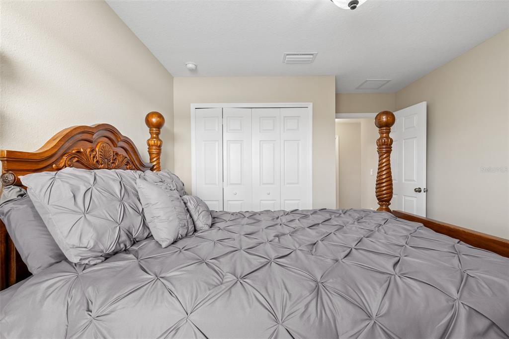 31046 Parrot Reef Court Wesley Chapel, FL 33545 - Photo 45 of 99 a bedroom with a bed and a painting on the wall